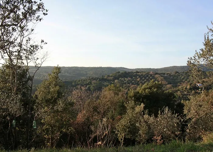 Happy Flat Riparbella